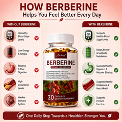 Berberine 4-in-1 Wellness Support